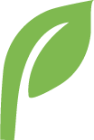 zielony listek